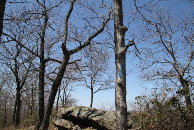 ir-130425__9685_13-03.jpg