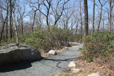 ir-130425__9686_13-04.jpg