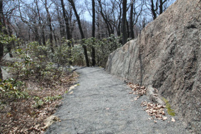 ir-130425__9690_13-10.jpg