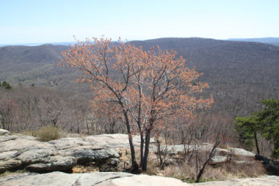 ir-130425__9726_13-38.jpg