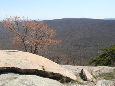 ir-130425__9718_13-34L.jpg