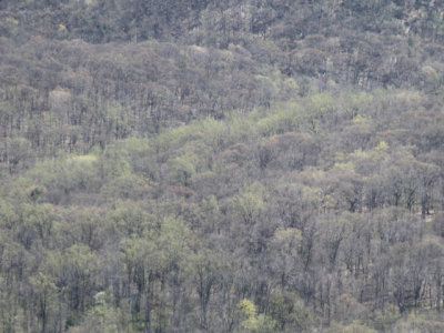 ir-130425__9724_13-37L.jpg