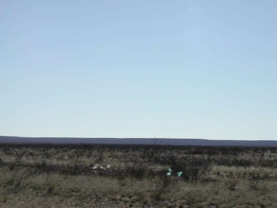 Penisula Valdes, Argentina