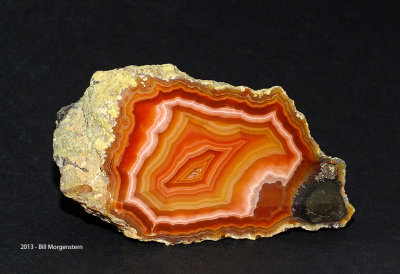 Laguna Agate 