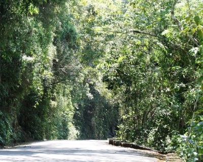 Paved park road