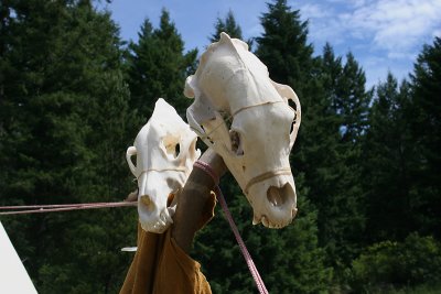 Bear Skull Lodge Adornments
