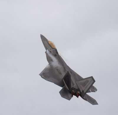 F-22 Raptor 1