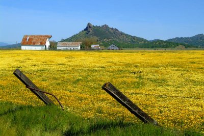 Old-Barn