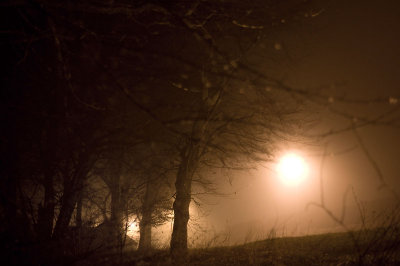 7th January 2013  mist