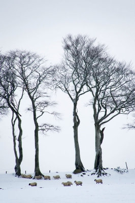 22nd January 2013 bitter wind