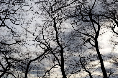 15th February 2013 paler shade of grey