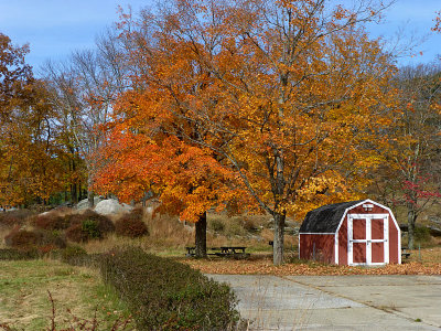 e Fall Colors Harriman park oct 2012  ZS20 FSP1180633.jpg