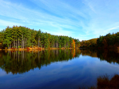 e Fall Colors Harriman park oct 2012  ZS20 FSP1180444.jpg