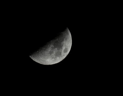 e Moon FZ200  5MP EZ plus cropP1070425.jpg