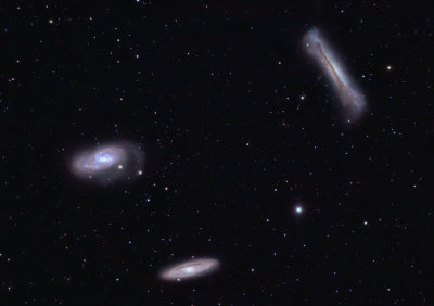 Leo Trio (NGC 3628, M66, and M65)
