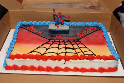 David's birthday cake - Spiderman