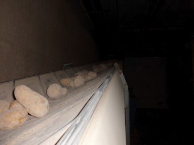 g2/83/913083/3/148877424.4OzN1KCC.jpg