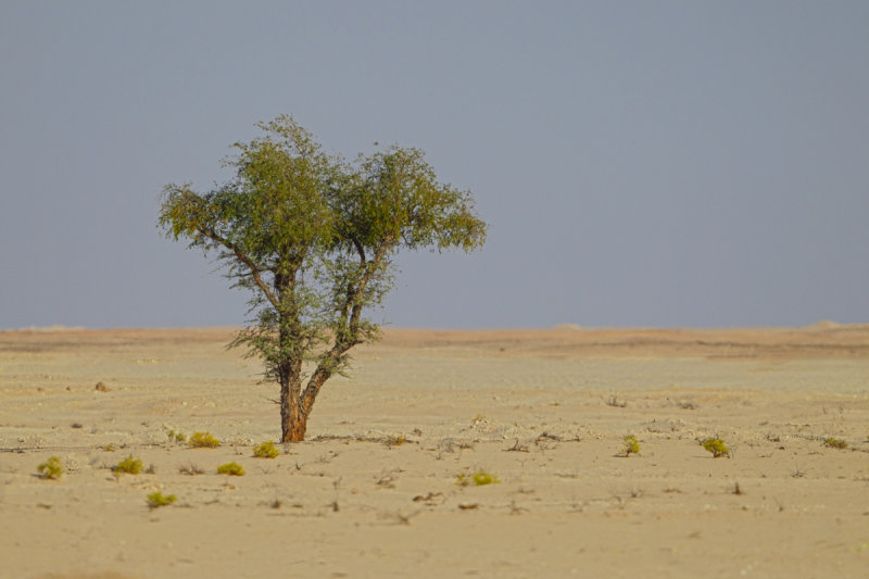 Close to Muntasar
