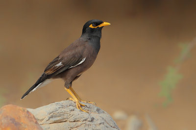 g2/83/944883/3/147766521.yGYtQuaP.jpg