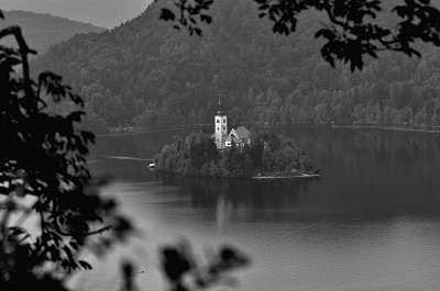 bled