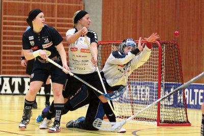 10. Februar 2013 Burgdorf Wizards