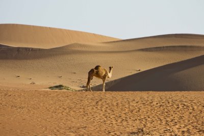 IMG_7622.jpg