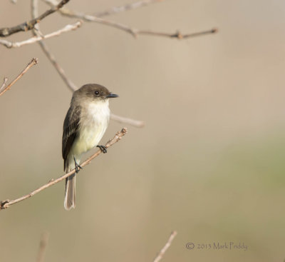 Red River National Wildlife Refuge