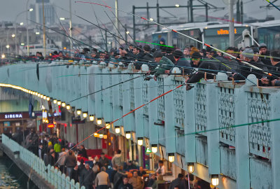 The daily rod ritual on Galata Bridge