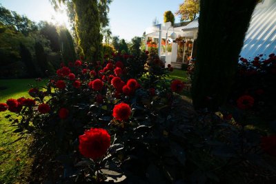 DSC_4719.jpg