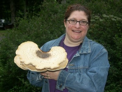 Lisa Solomon's First Drive-by Find of Polyporus squamosus 08270113.JPG