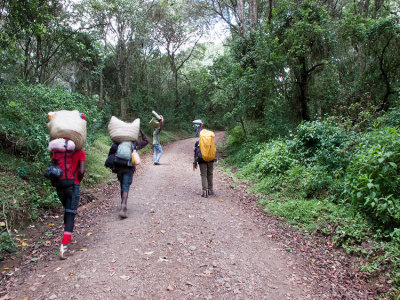 Porters heading up to Machame Camp