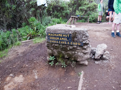 Made it to Machame camp