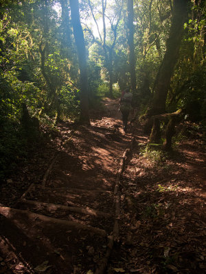 The trail from Mweka camp