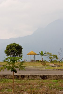 View to Mt. Kinabalu