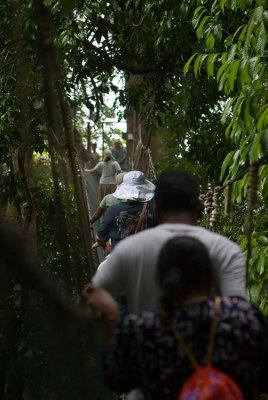 Canopy walk ~ Poring Hot Springs