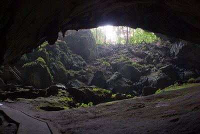 Entrance to Clearwater Cave from the inside