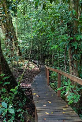 Boardwalks to the caves