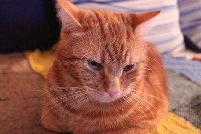 Bawei, waken up by my Camera...