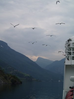 Seagales, Sogne Fjord
