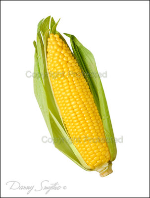 Corn