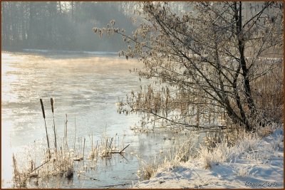 DSC_7166bb.jpg