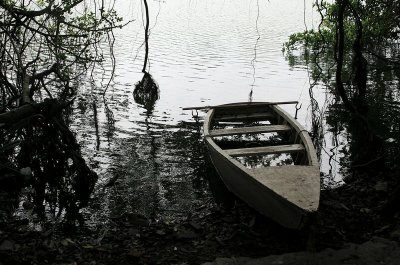 Sunken Boat