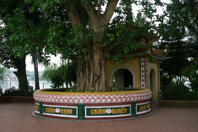 Trấn Quốc Pagoda