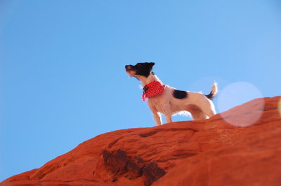 Red Rock Canyon NCA