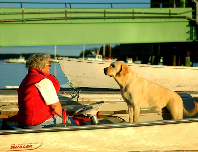 Woman & Dog Waiting For Ferry Guests