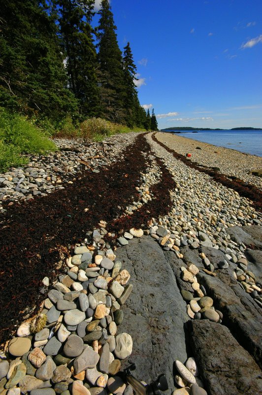 Seaweed Path - Private Island