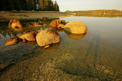 Rocks At Sunrise - Hells Half Acre Island