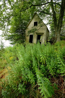 The Abandoned Cottage - Swan's Island