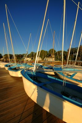 The Fleet - Castine Yacht Club