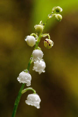 En dag vid Roslagskulla med 4 Naturfotografer...